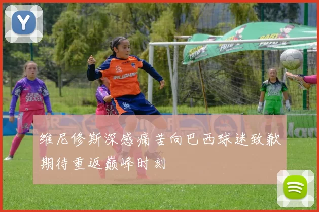 维尼修斯深感痛苦向巴西球迷致歉期待重返巅峰时刻